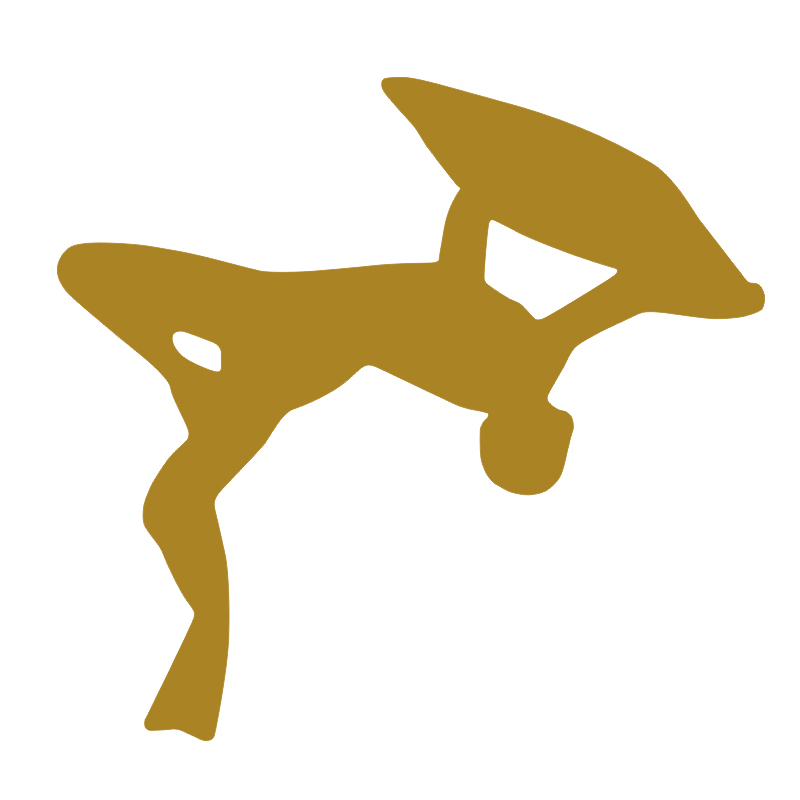 Bodyboarding Bodyboarder - Boo - Bodyboard Boogie Board บทวิจารณ์และราคา